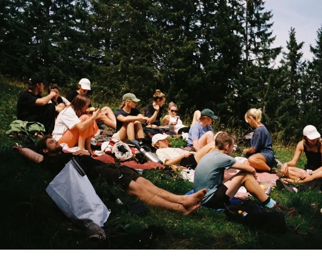 Community picnic in a park